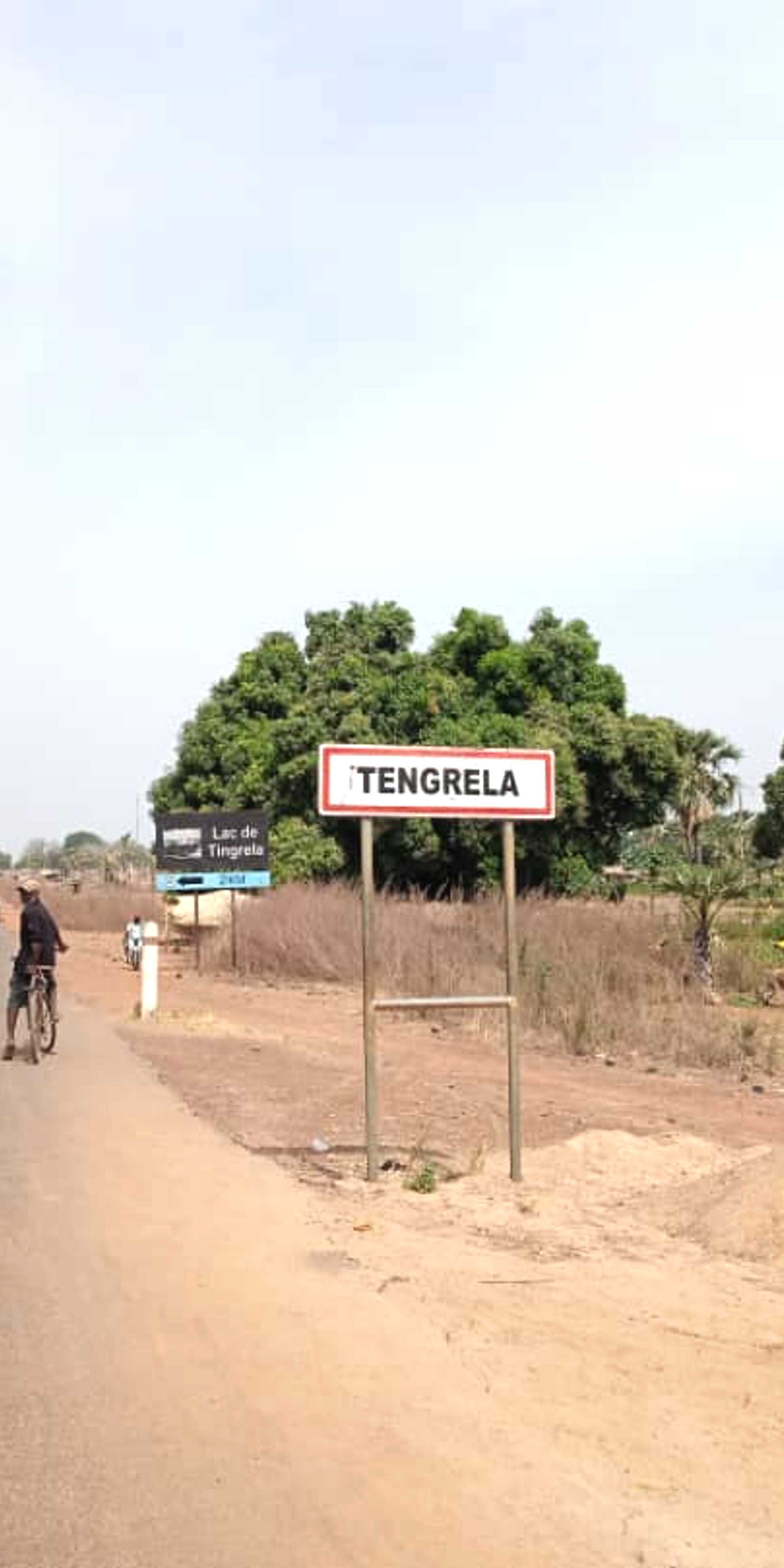 Tingrela