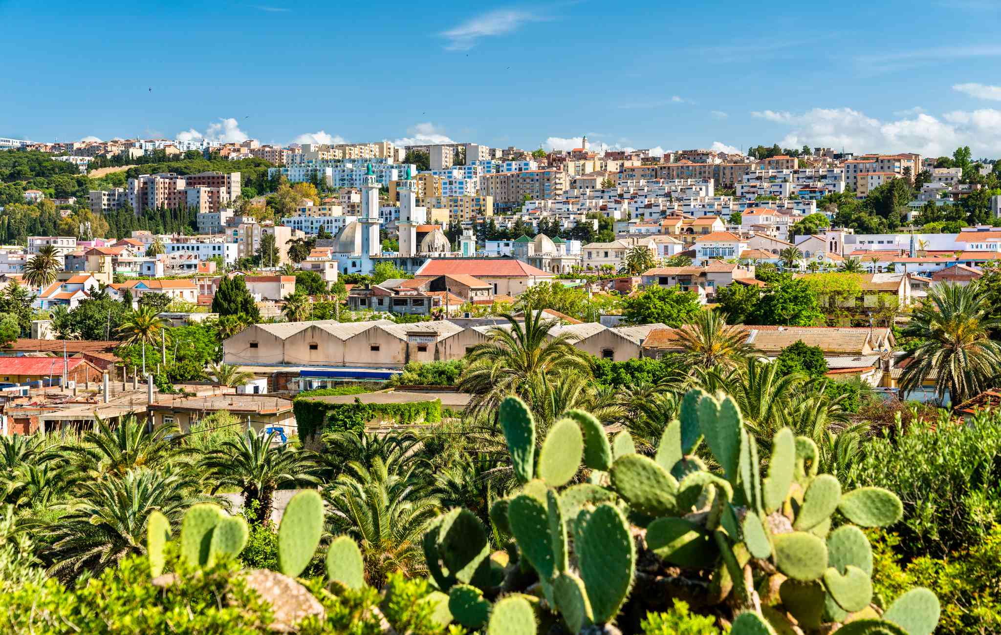 Scenic view of Tipasa - private day trip from Algiers - photo 3