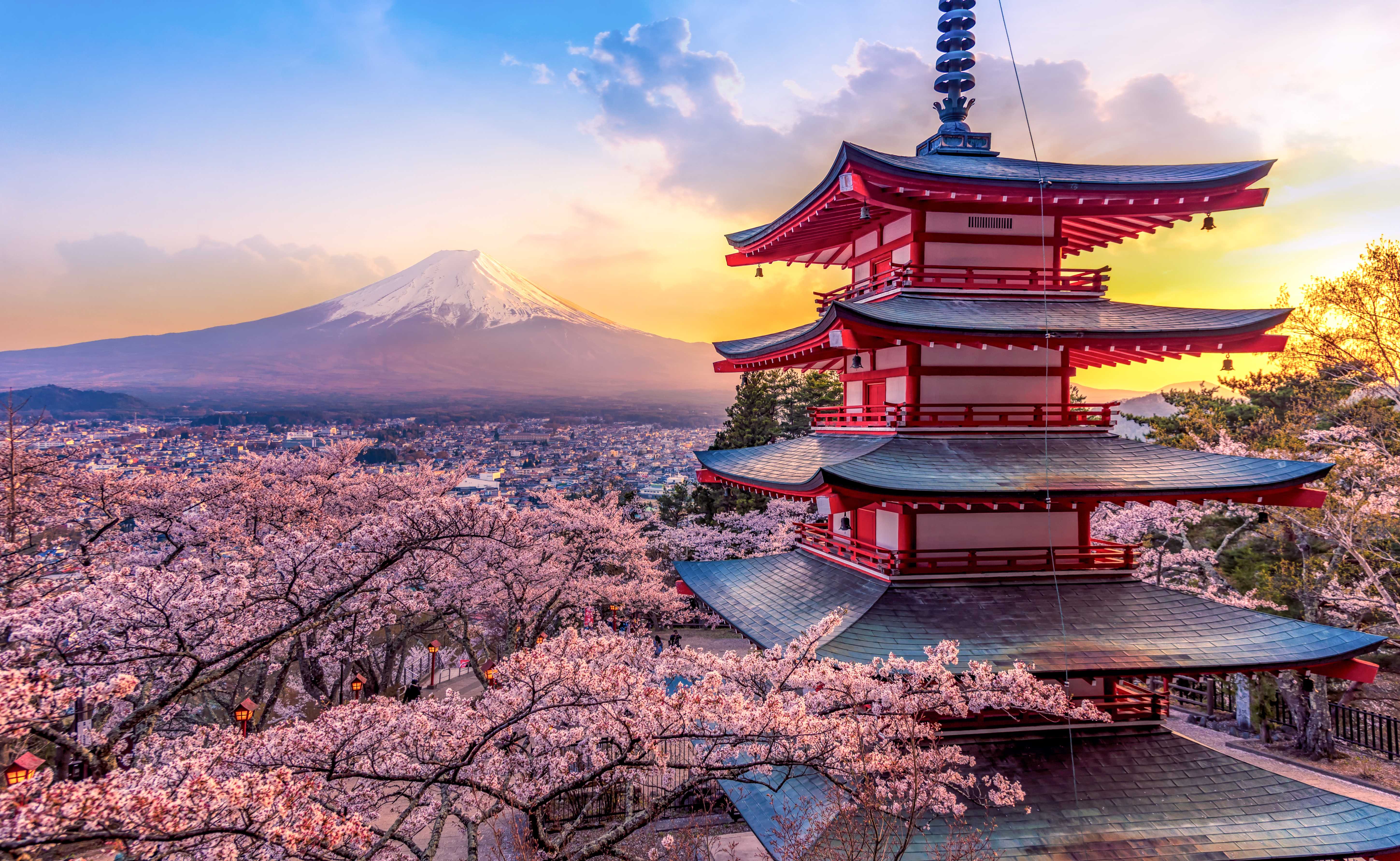 Mount Fuji to Tokyo Private Transfer | Daytrip