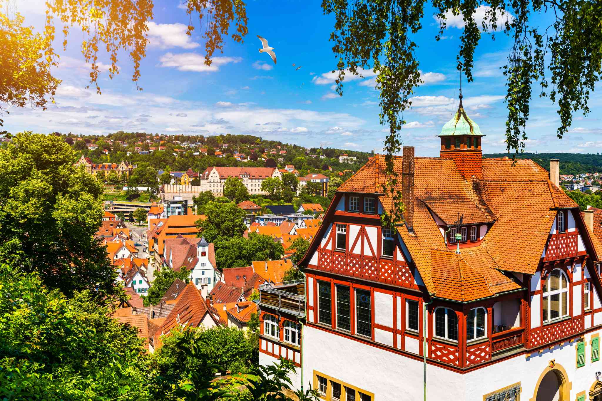 Blick auf die Landschaft von Munich Airport - private Tagesreise von Tübingen - Foto 6
