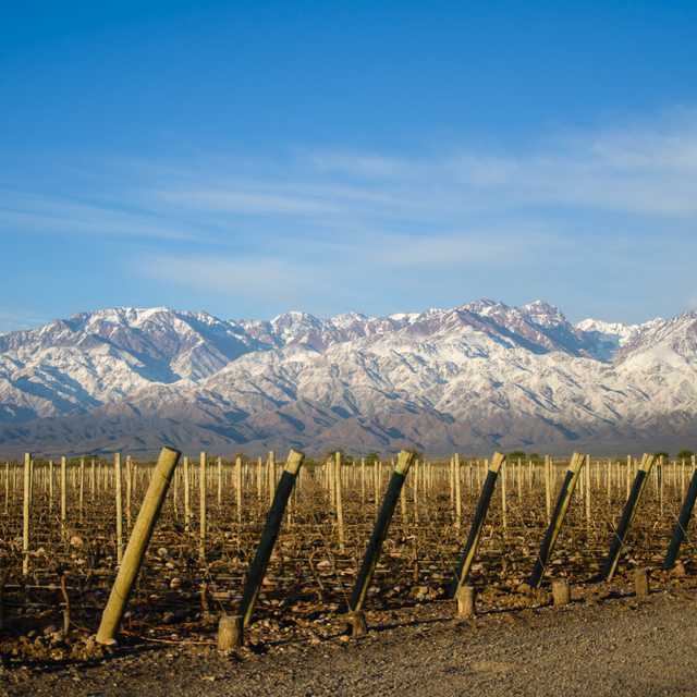 Mendoza to Tunuyan and Termas Cacheuta: Private day trip
