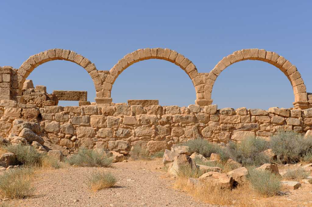 Private Day Trip from Amman to Mount Nebo and Umm ar-Rasas