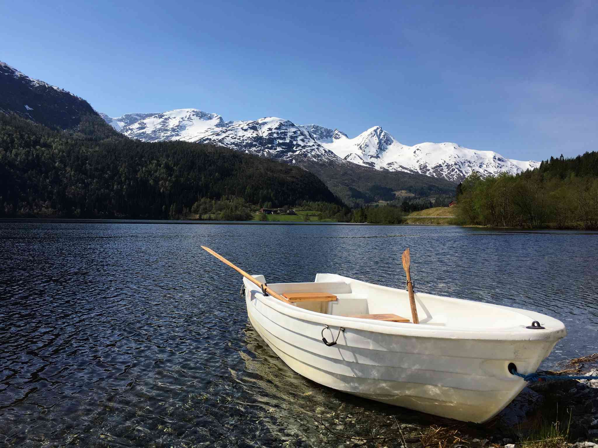 Vacker vy över Hjorundfjorden - privat dagsutflykt från Oslo - foto 2