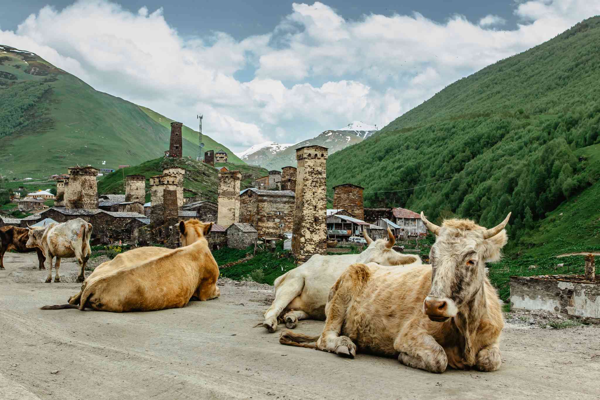 Vista panorámica de Tbilisi - excursión privada de un día desde Ushguli - foto 6