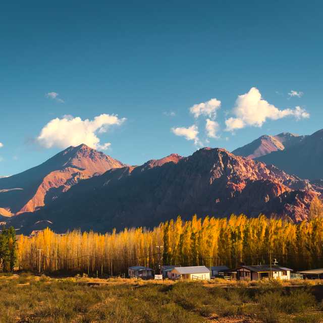 Mendoza to Uspallata and Potrerillos Dam: Private day trip