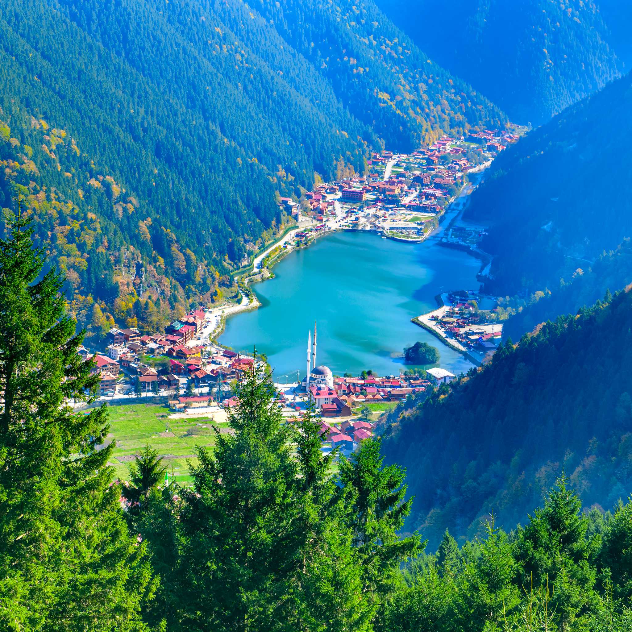 Uzungol