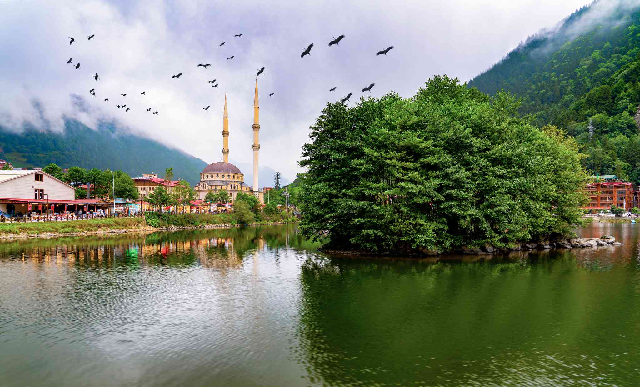 Vista cênica de Batumi - excursão particular de um dia de Uzungol - foto 6