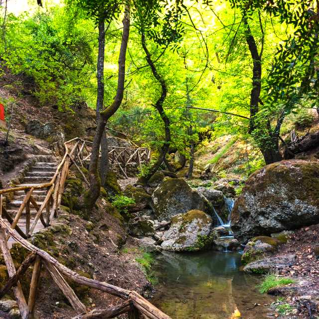 Rhodes City to Butterfly Valley and Seven Springs: Day trip