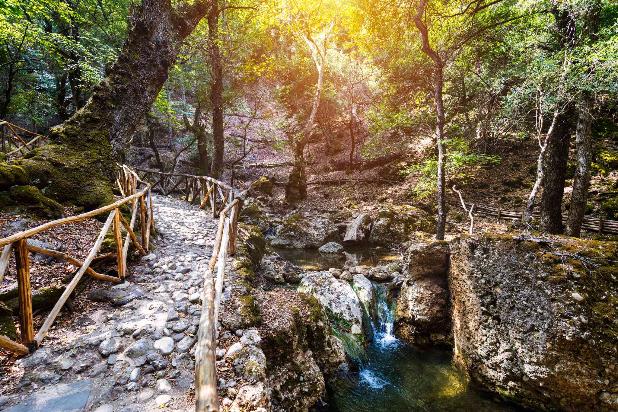 Rhodes City 의 경치 - Rhodes City 에서 출발하는 개인 day trip - 사진 3