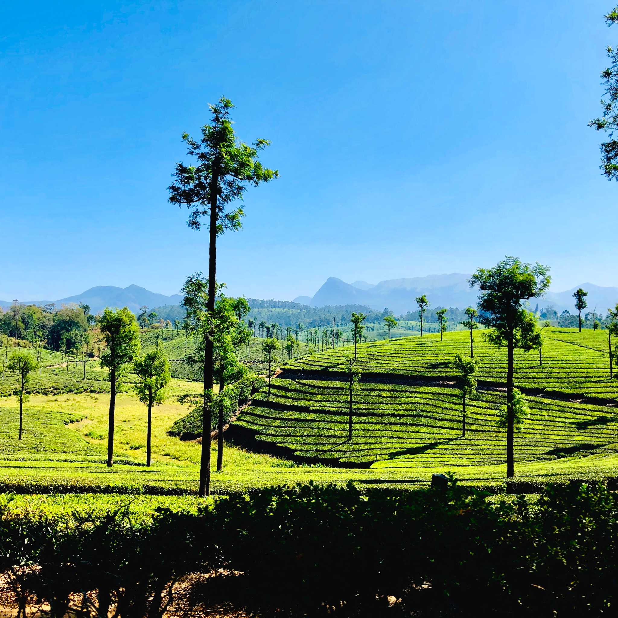Valparai
