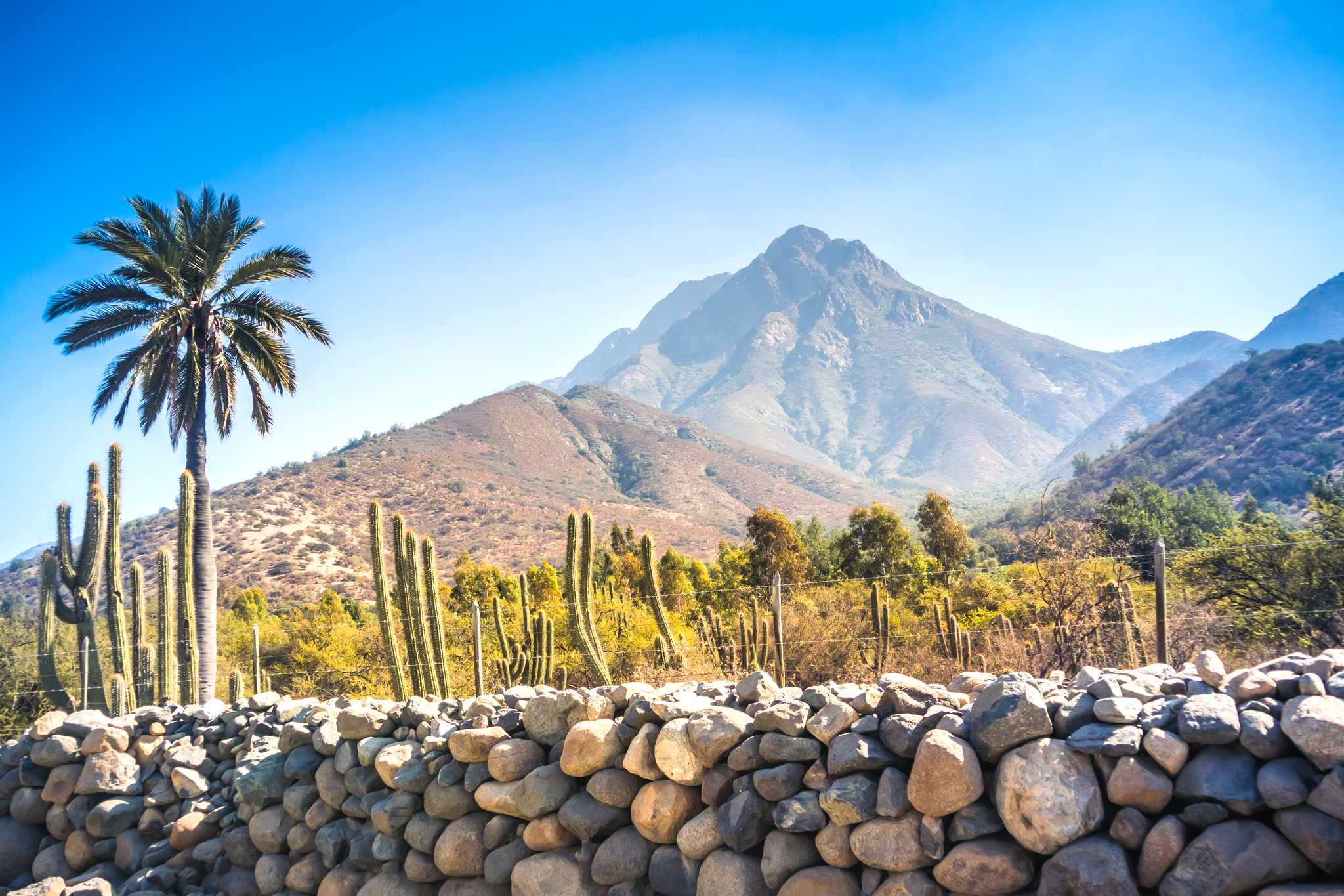 Santiago to Valparaiso and Vina del Mar: Private day trip