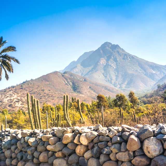 Santiago to Valparaiso and Vina del Mar: Private day trip