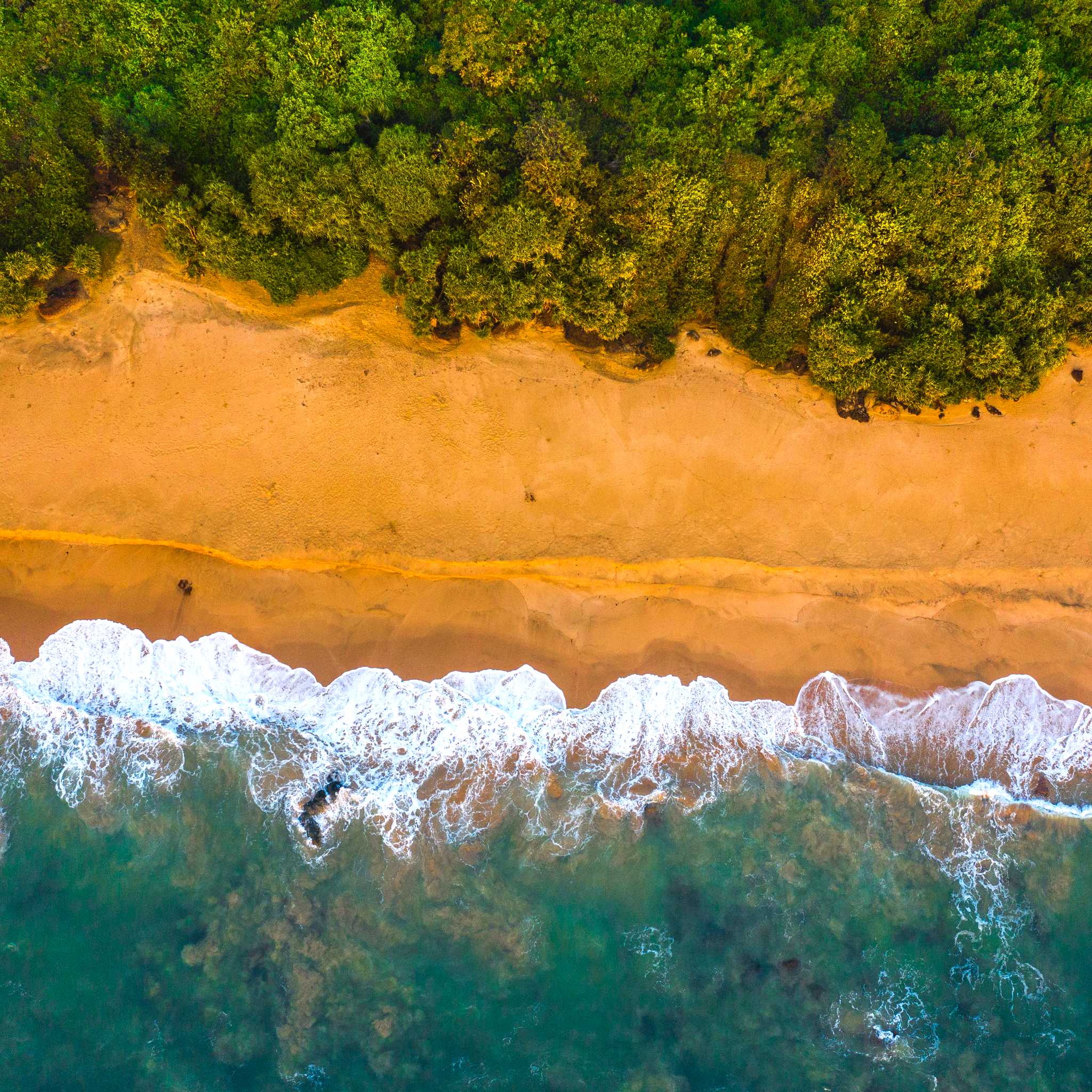 Goa International Airport