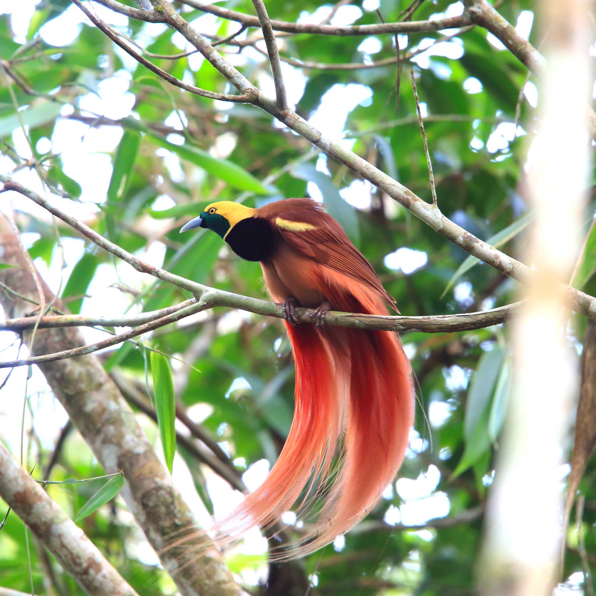 Varirata National Park
