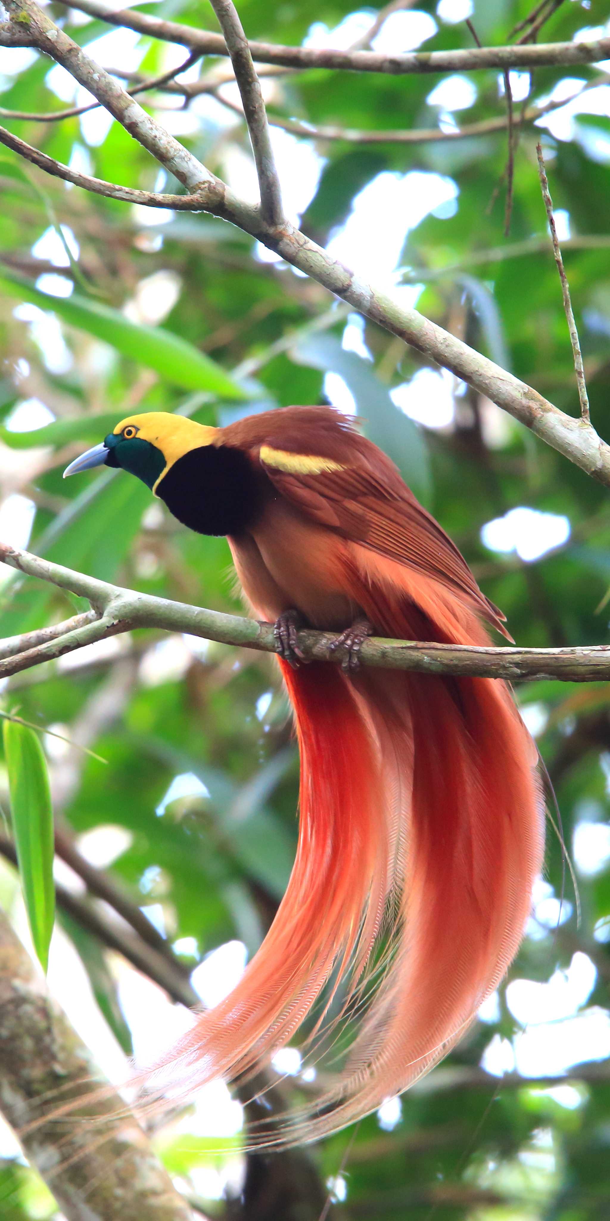 Varirata National Park