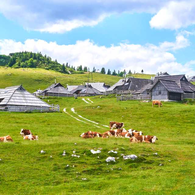 Ljubljana to Kamnik & Velika Planina: Private day trip