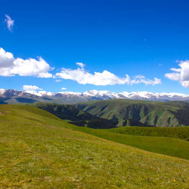 Almaty to Viewpoint Ushqonyr and Pervomaiskie Ponds Day trip