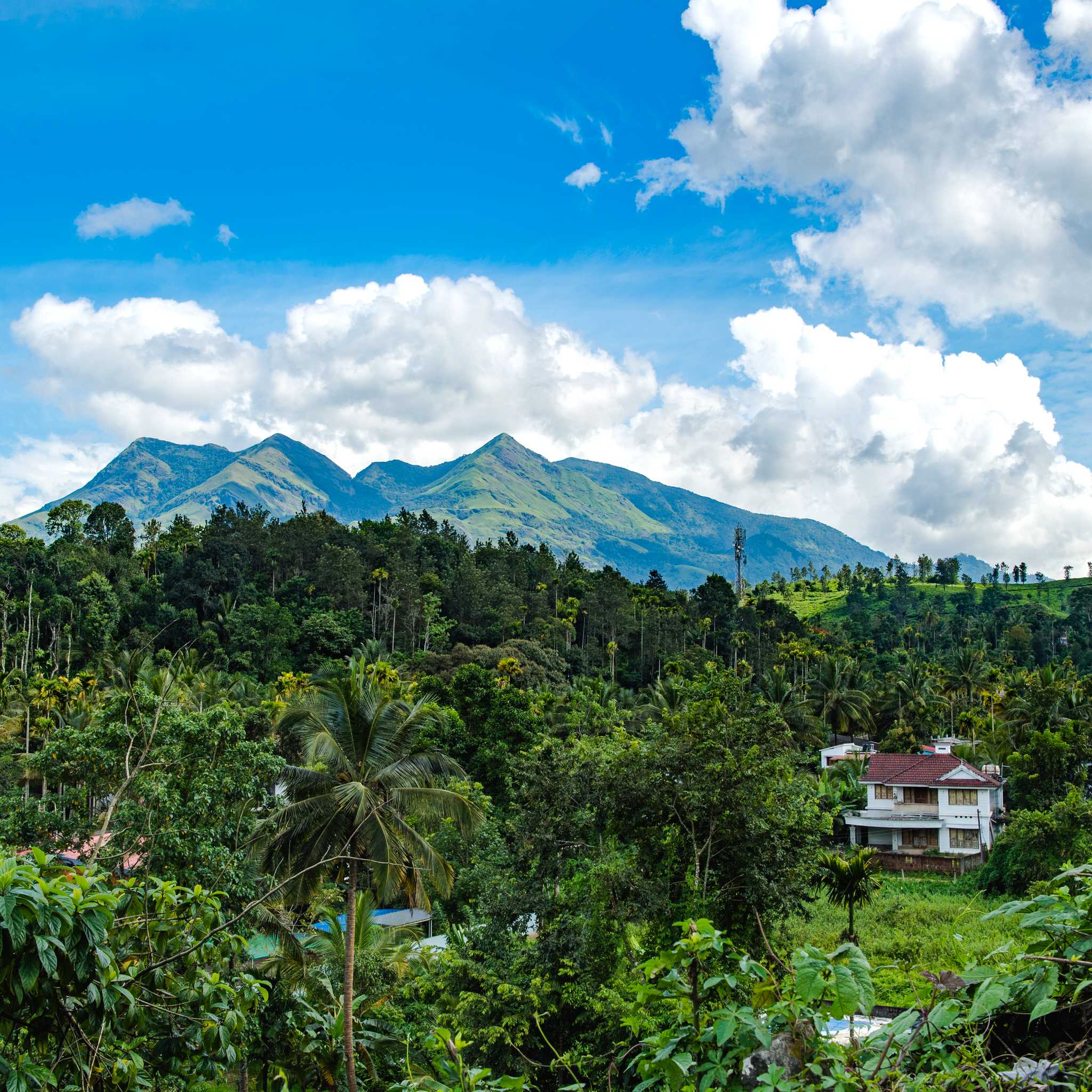 Wayanad