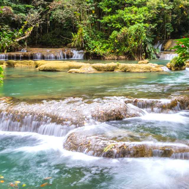 Kingston to YS Falls and Treasure Beach: Private day trip