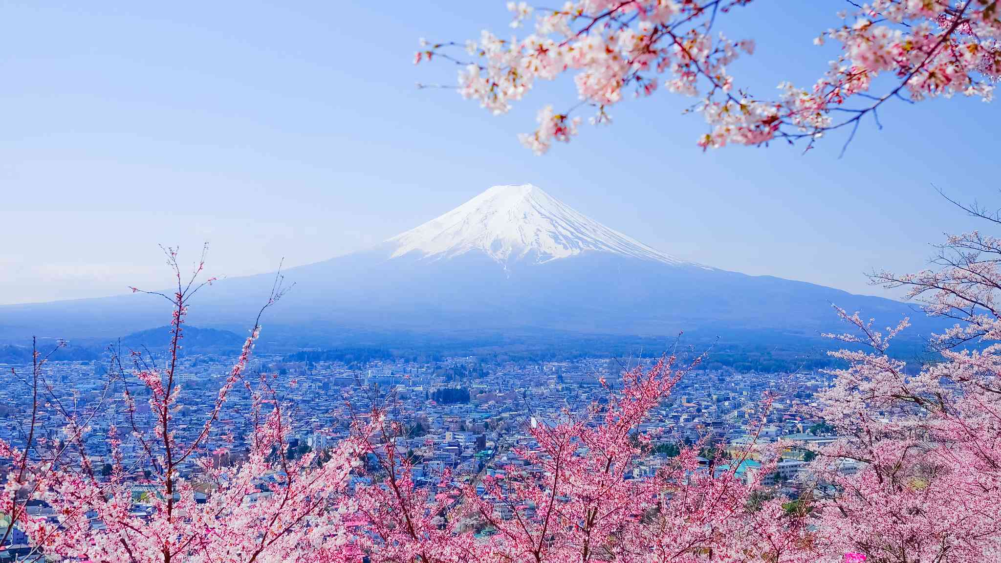 Scenic view of Yamanashi - private day trip from Haneda Airport - photo 2