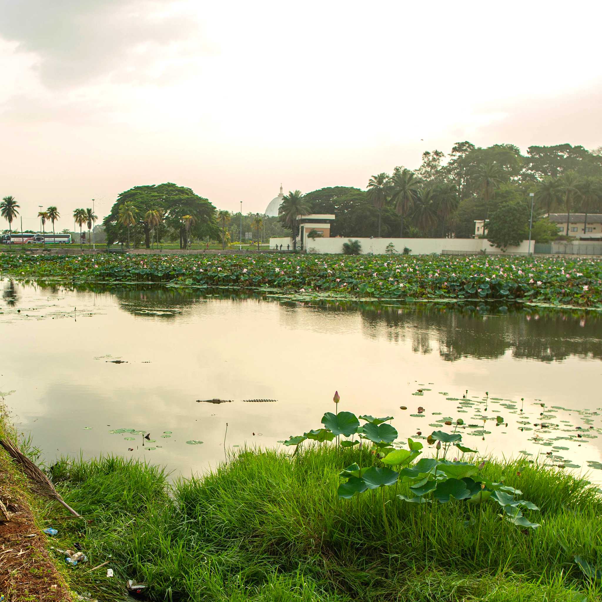 Private car transfers in Cote d'Ivoire from Yamoussoukro