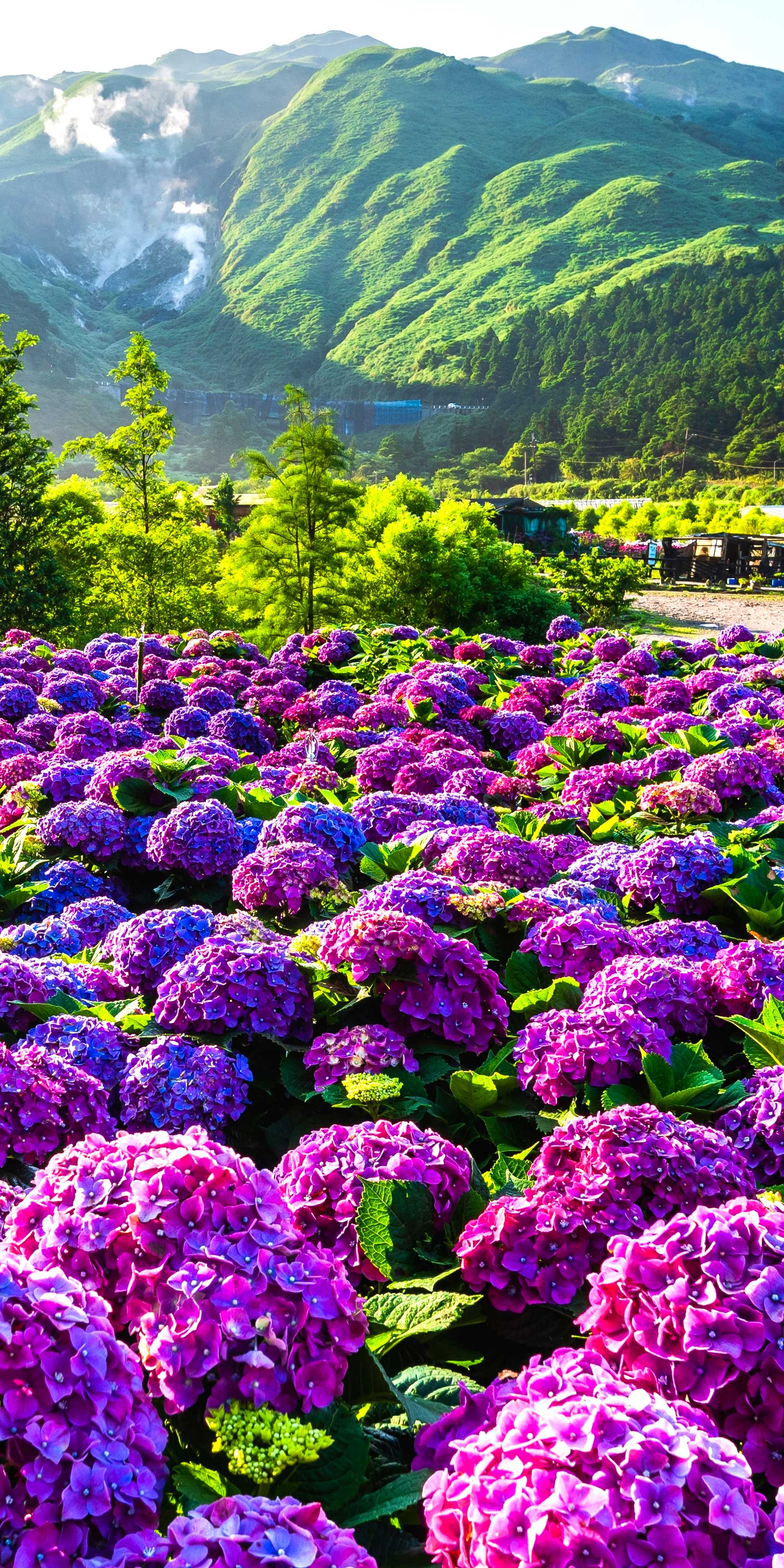 Yangmingshan National Park