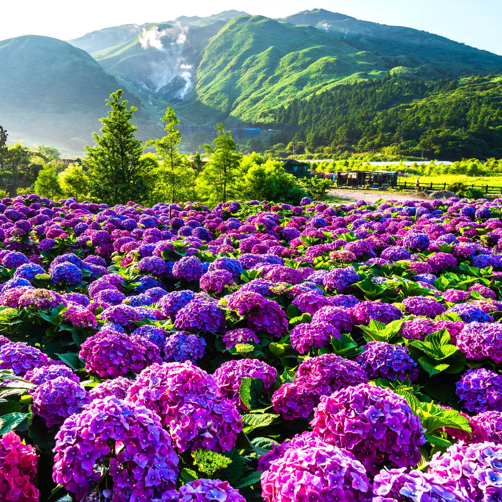 Yangmingshan Nationalpark