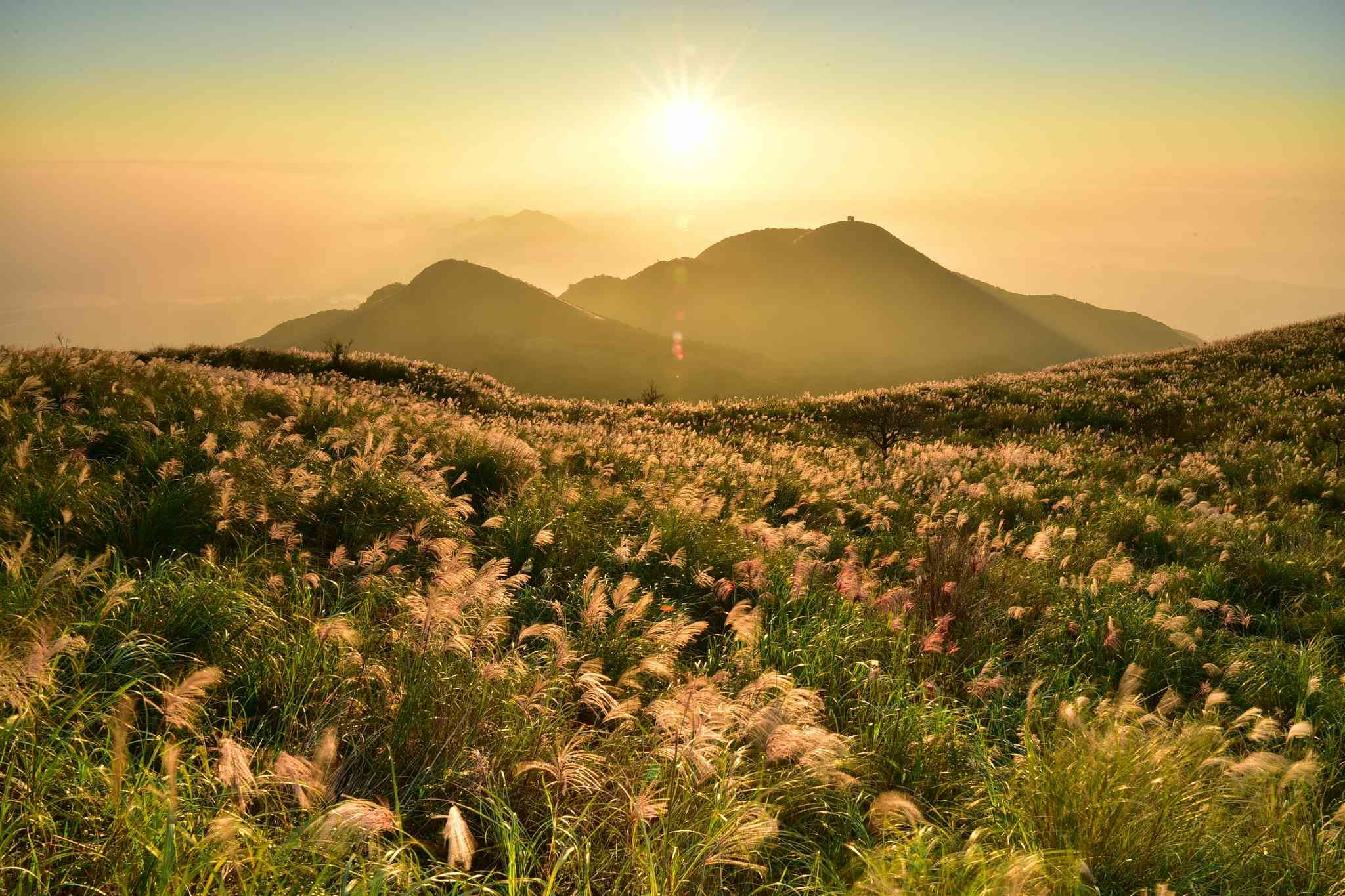 Blick auf die Landschaft von Yangmingshan Nationalpark - private Tagesreise von Keelung - Foto 2