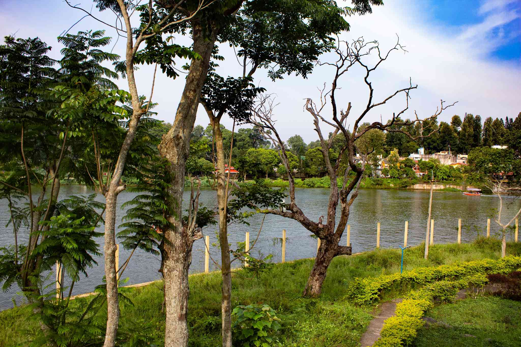 Vista cênica de Yercaud - excursão particular de um dia de Chennai - foto 2