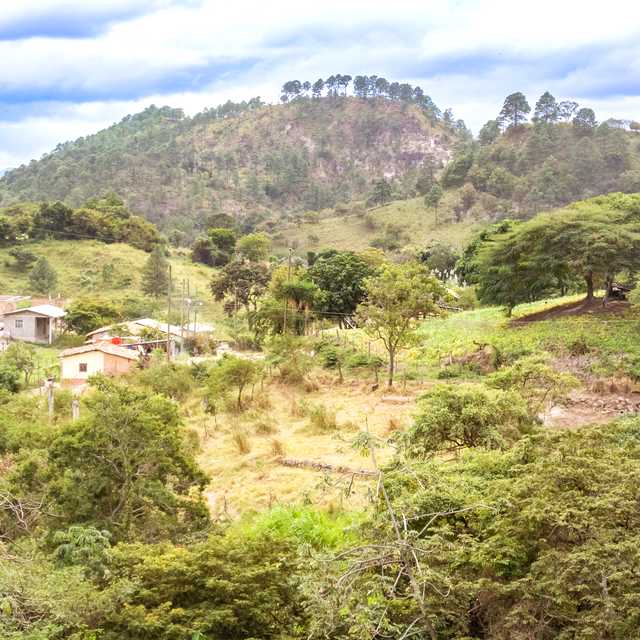 Tegucigalpa to Yuscaran and Danli: Private day trip