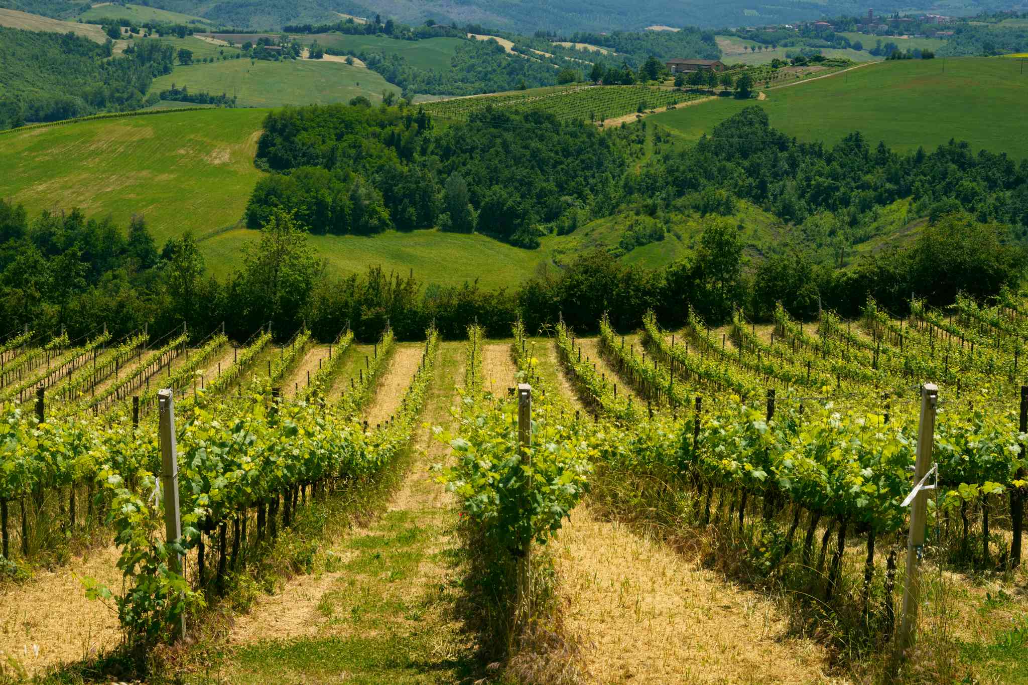 Vista panorámica de Bologna - excursión privada de un día desde Bologna - foto 2