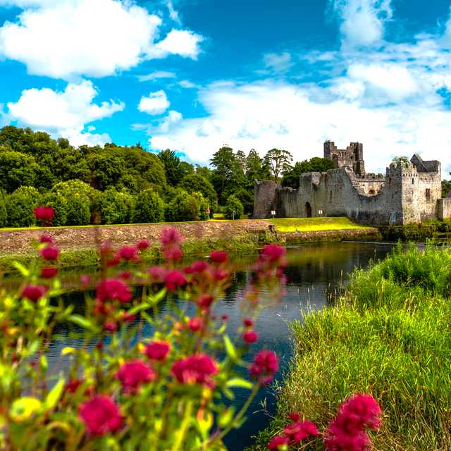 Galway to Bunratty Castle and Adare: Private day trip