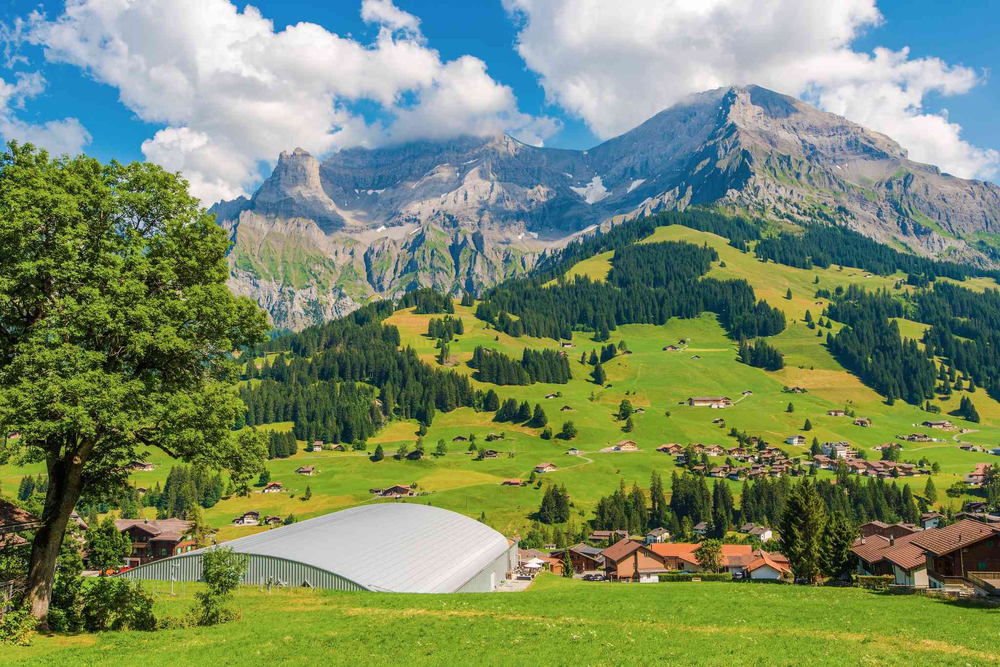 Scenic view of Zurich Airport - private day trip from Adelboden - photo 6