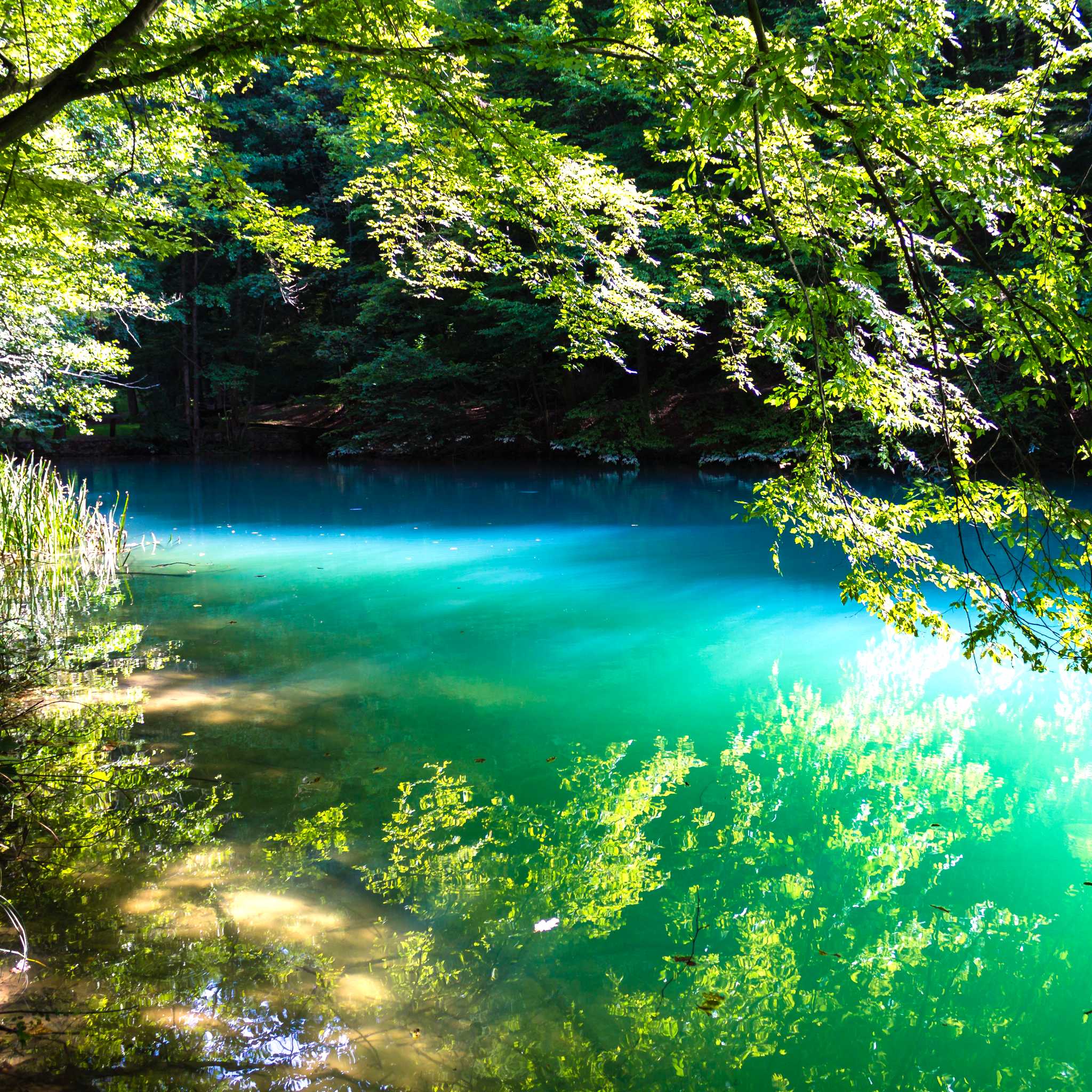 Aggtelek National Park