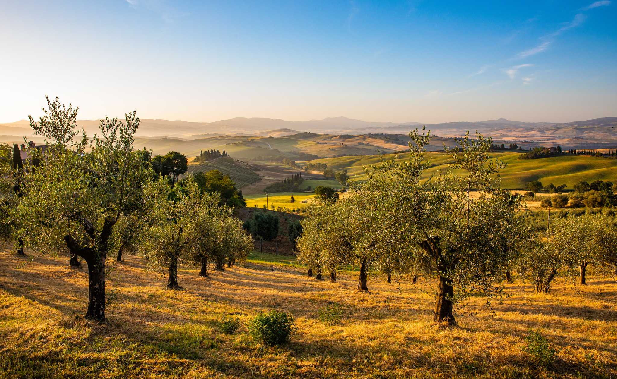 Privata biltransfertjÀnster i Agriturismo Tananei - naturskön vy över Agriturismo Tananei i Italien