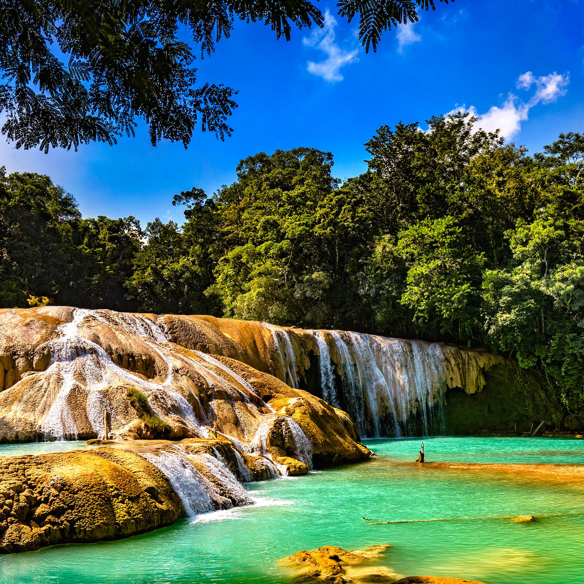 Wasserfälle von Agua Azul