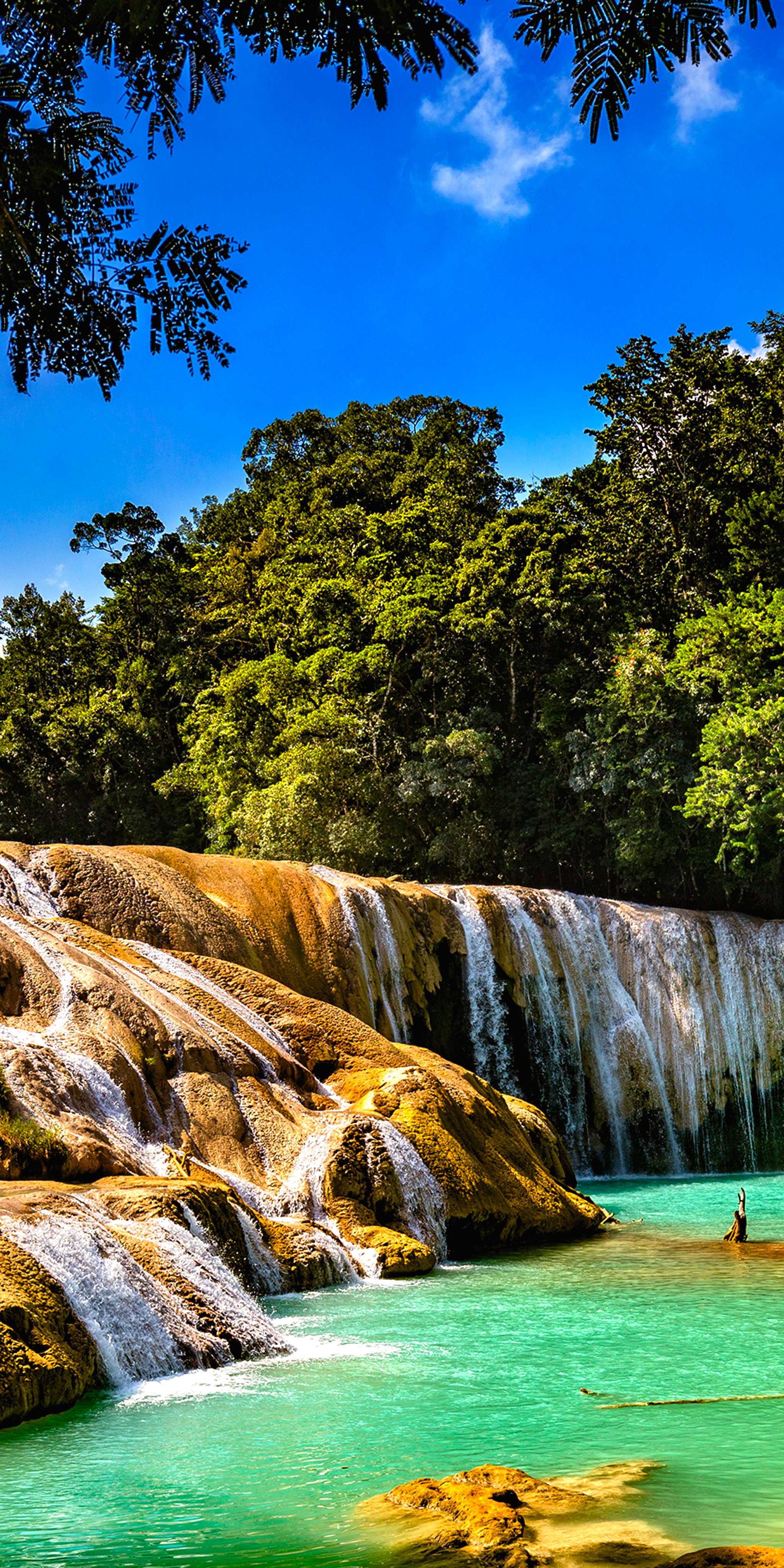 Agua Azul Waterfalls