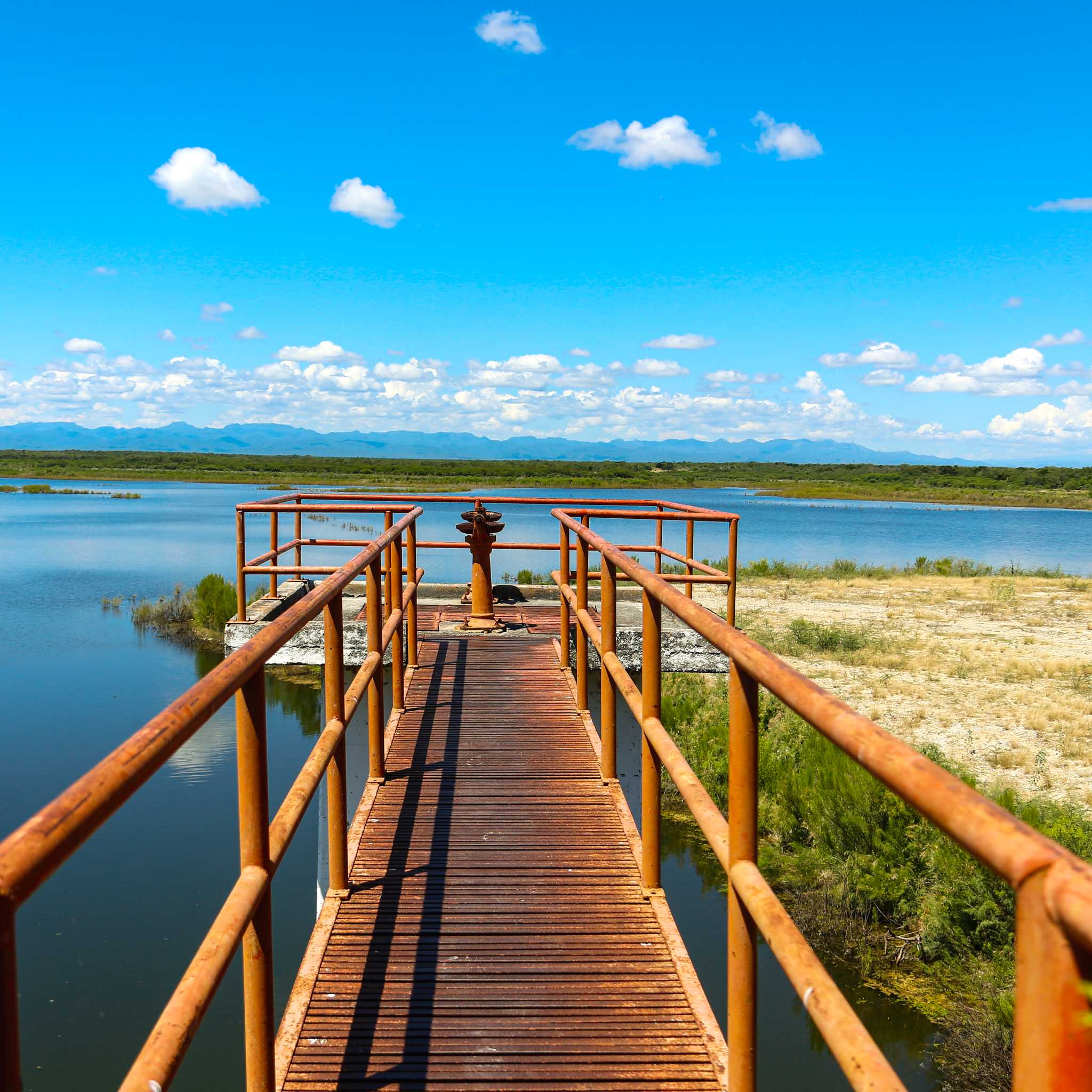 Agualeguas
