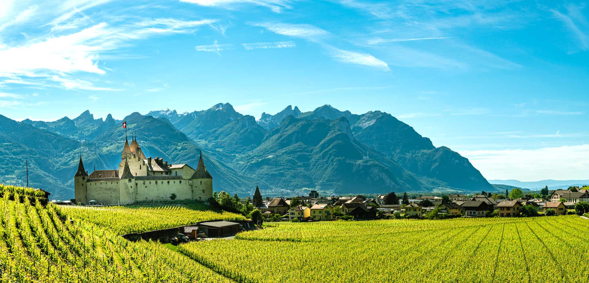 Montreux to Aigle and Leysin: Private day trip