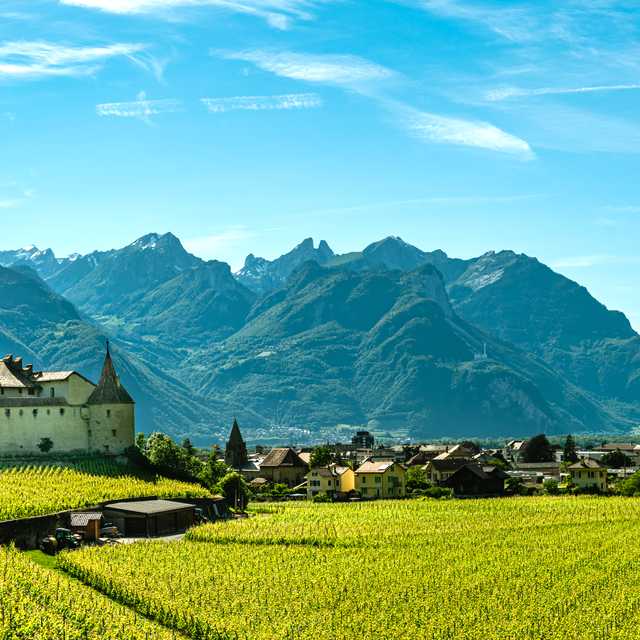 Montreux to Aigle and Leysin: Private day trip