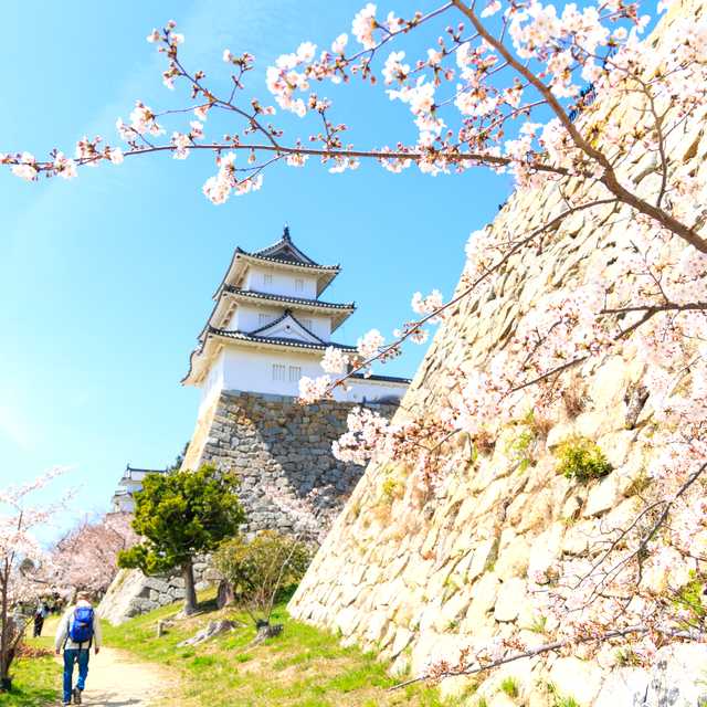 Kyoto to Akashi Park and Osaka Castle park: Private day trip