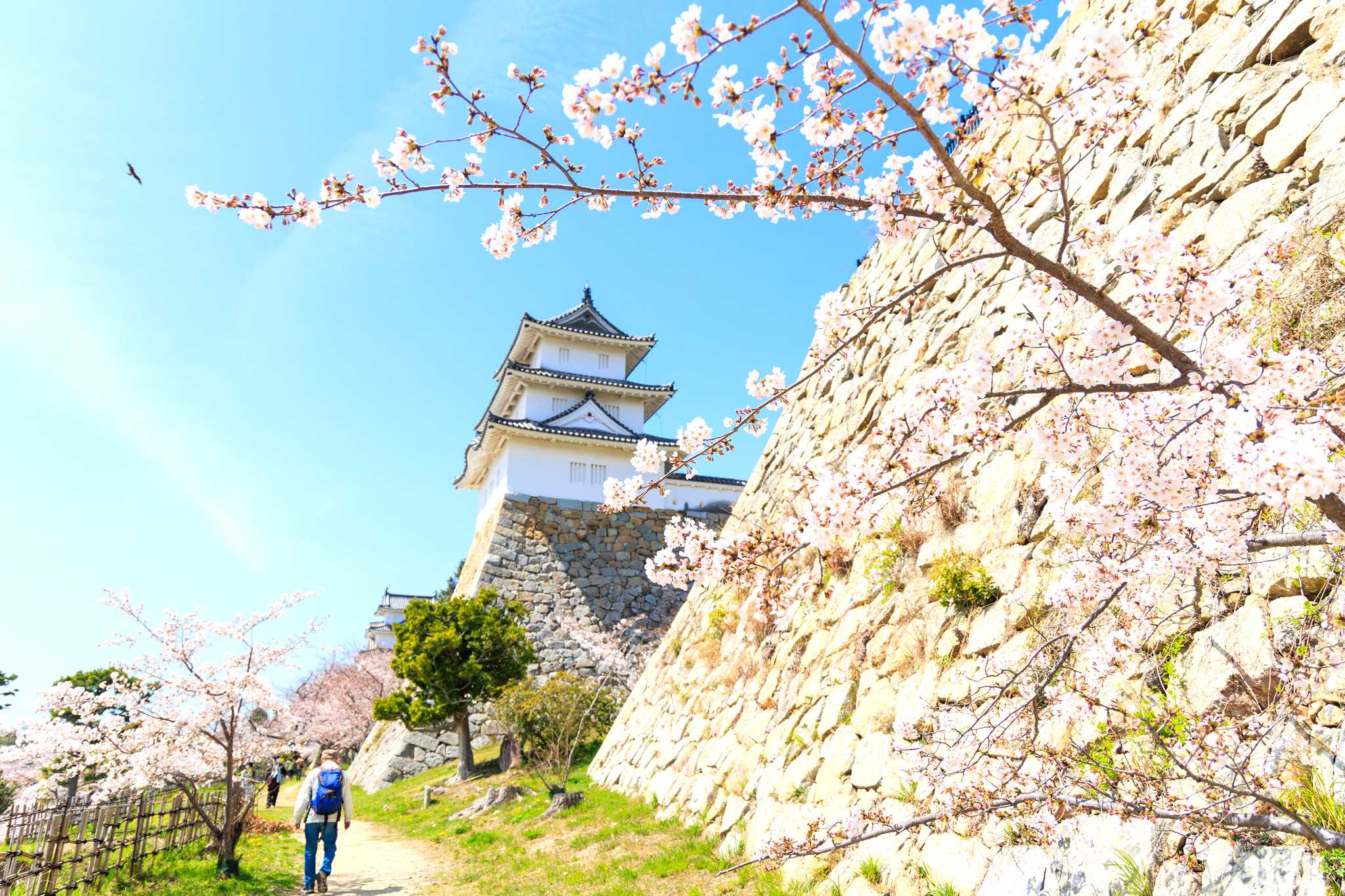 Kyoto to Akashi Park and Osaka Castle park: Private day trip