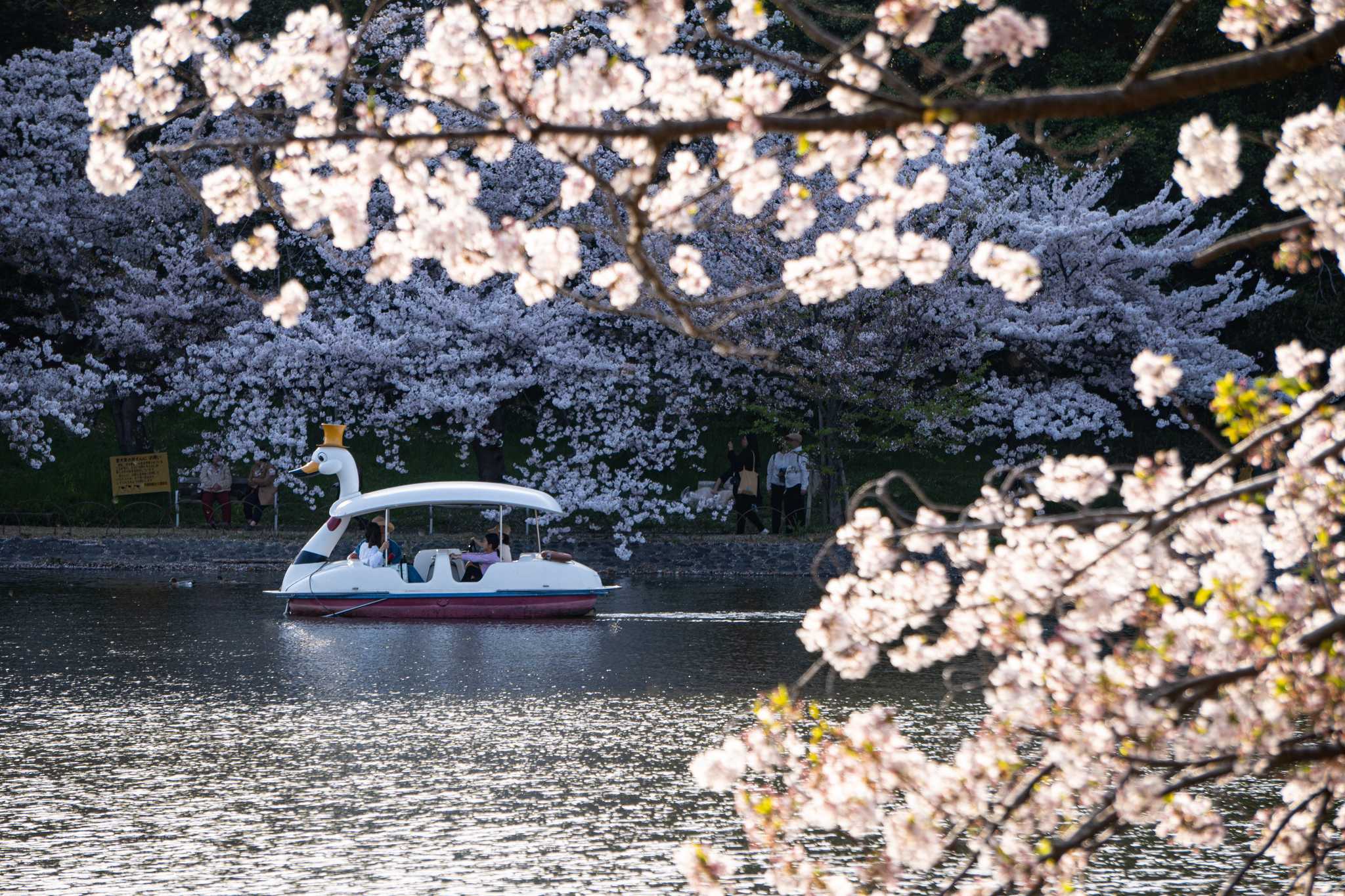 Akashi Park