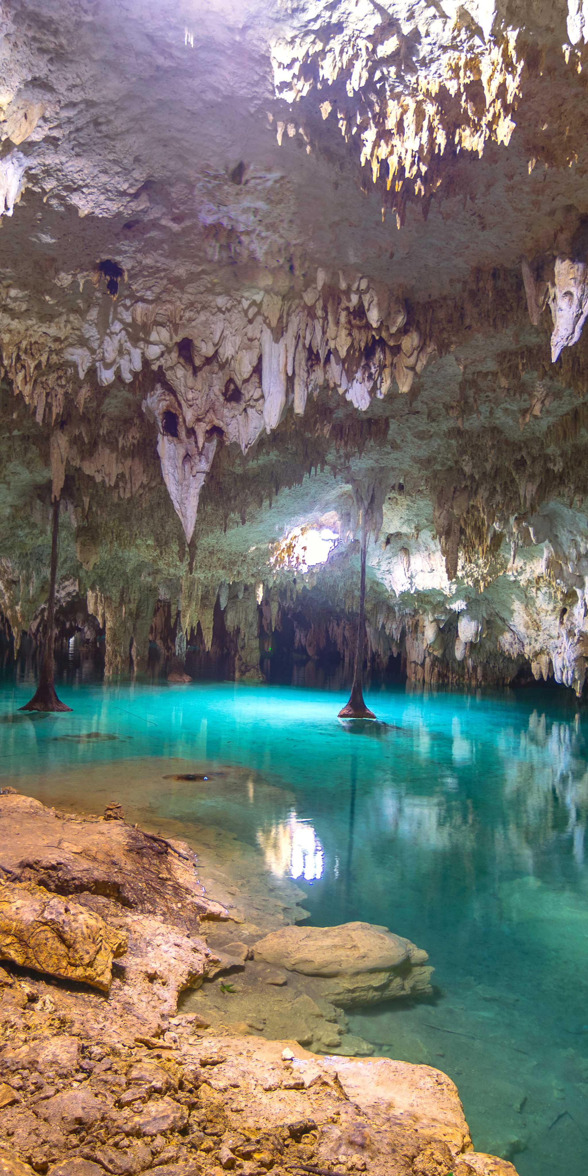 ์
ํฐ ์ฒธ