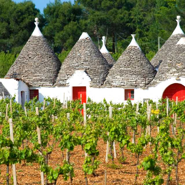 Matera to the trulli villages: Private day trip