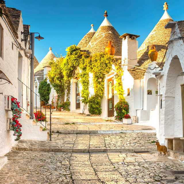 Matera to Alberobello: Private day trip