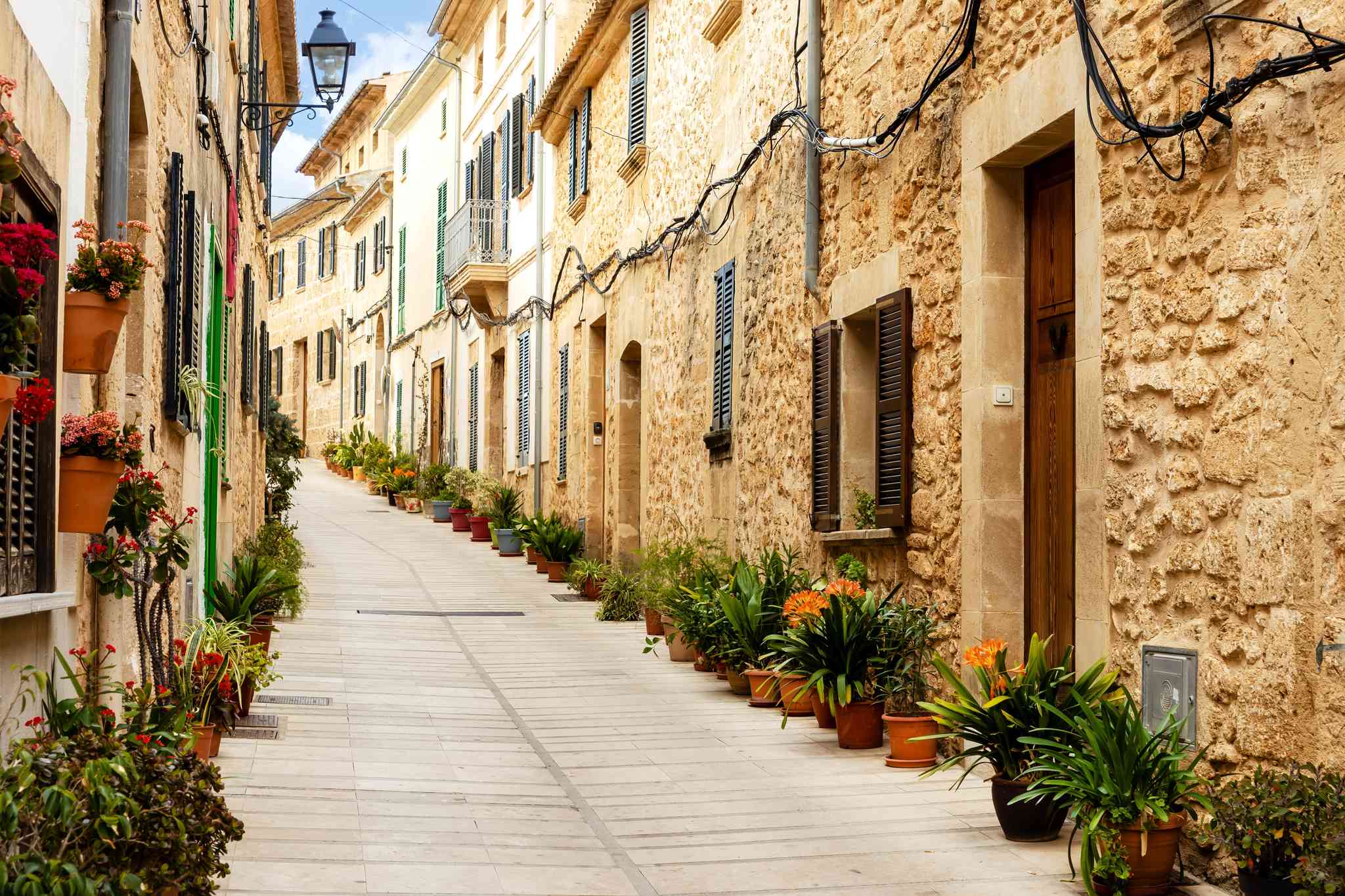 Blick auf die Landschaft von Palma de Mallorca - private Tagesreise von Alcudia - Foto 7