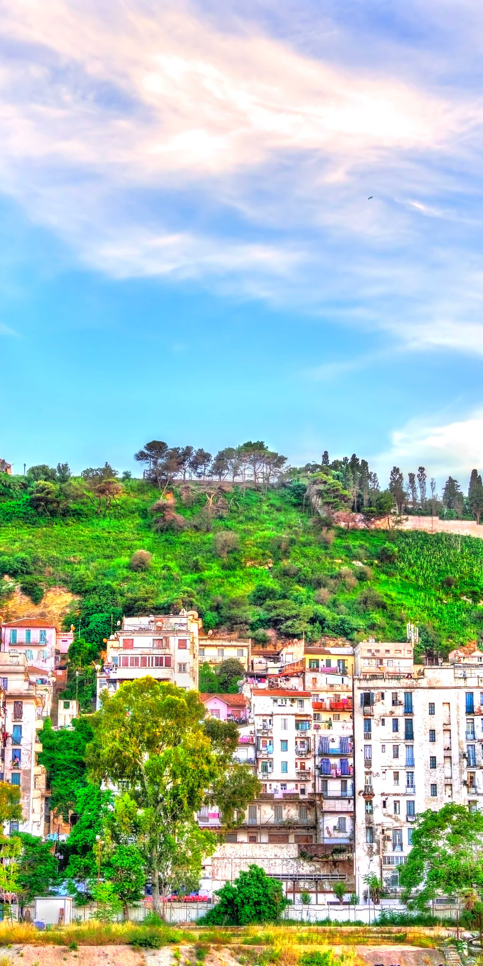 Algiers International Airport Houari Boumediene