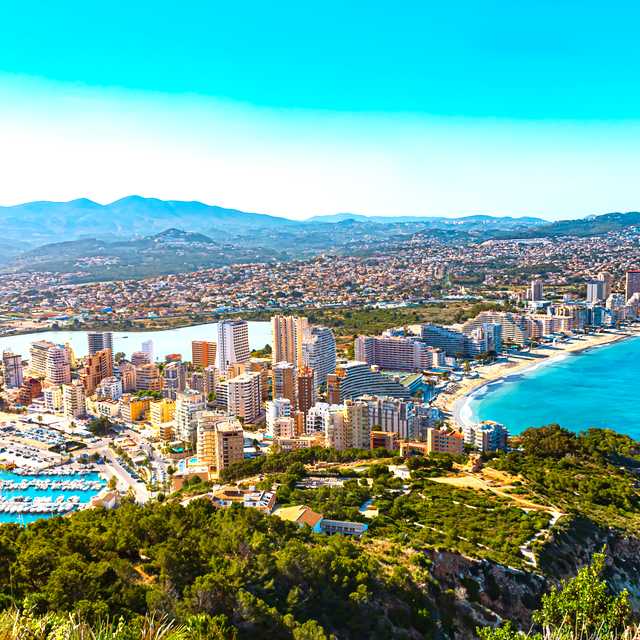 Valencia to Alicante and Elche: Private day trip