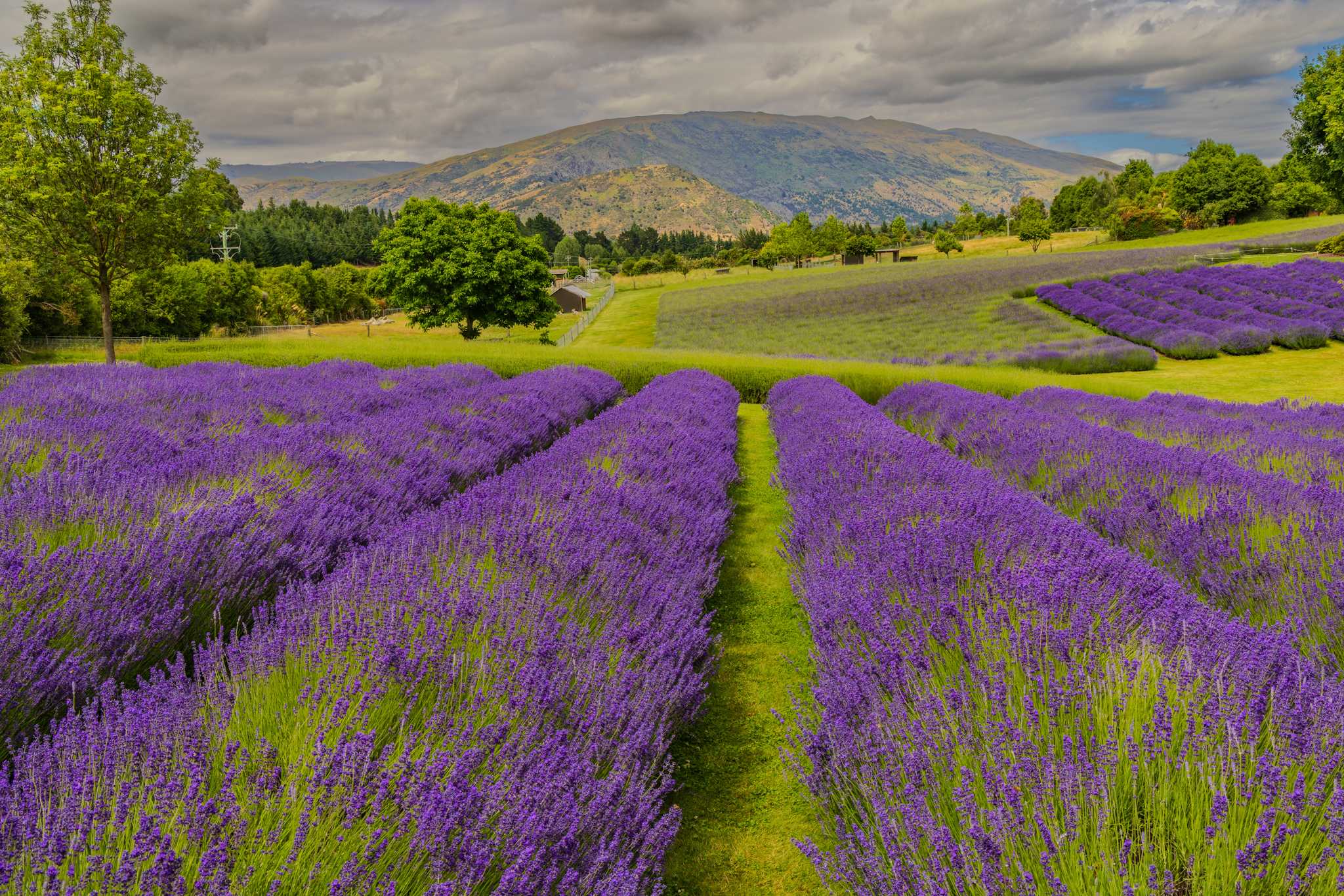 行程在私人 日游 从 Queenstown 到 Alpine Lavender Farm 的 停靠点